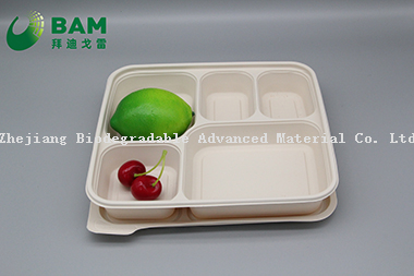可降解、全生物降解的5格一次性可堆肥的玉米淀粉外卖食堂食品容器，用于快餐 符合GB/T4806.7标准