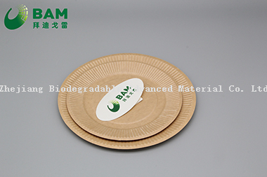 可降解、全生物分解的可分解堆肥面包店外卖食品包装圆饼盘 符合GB/T4806.7标准