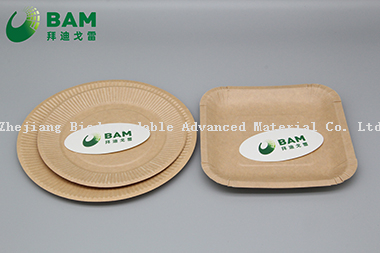 可降解、全生物分解的可分解堆肥面包店外卖食品包装蛋糕的方形板 符合GB/T4806.7标准